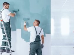 House Painters